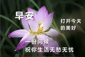 中老年表情包｜愿你与清风共唱逍遥调，万丈红尘心不老图片