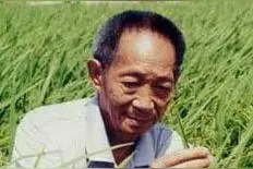 从稻田里走出来的英雄图片