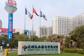 中国牛奶战争，光明掉队图片