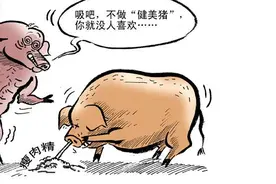 瘦肉精食用过量危机生命，但美国还在用图片