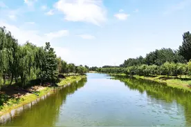 干涸多年的河沟，下雨积水后，为啥会有很多小鱼，从哪里来的？图片
