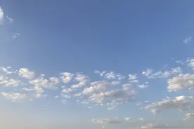 开学第022天：按照要求选班组 活动计划帮督促图片