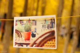 陌上花开，不染秋凉，谁以深情度流年，谁以温柔伴余生图片