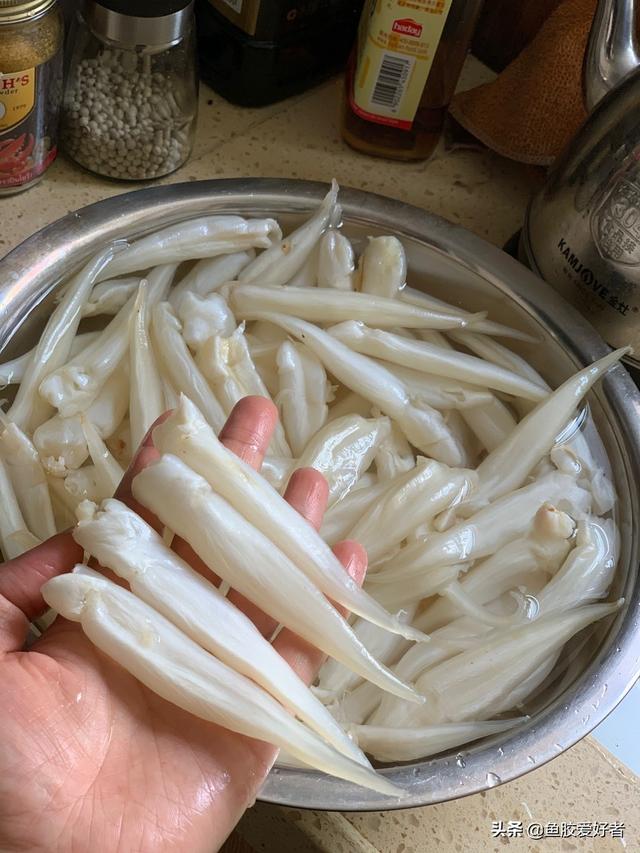 豆仁胶是什么鱼的 2026年豆仁鱼胶有什么营养价值