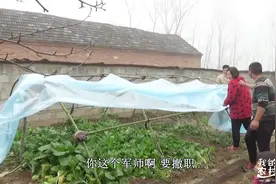 农村小夫妻真会过日子，花100元自建蔬菜大棚，冬天有新鲜蔬菜吃视频封面