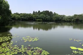 秋天一定要去一次杭州，西湖被誉为“人间天堂”，美了两千年图片
