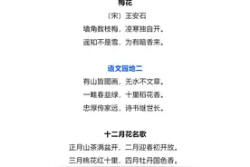 二年级语文上册知识要点，50页很详细，预习更有效，赶紧收藏图片