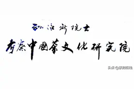 孙泳新院士考察中国茶文化研究院图片