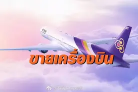继卖油条、包包、诵经航班后，泰航又开始卖飞机了...图片