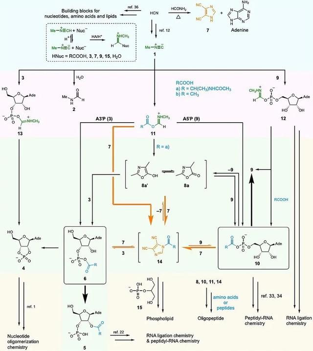 “万世浮华，万宗归一”之异腈