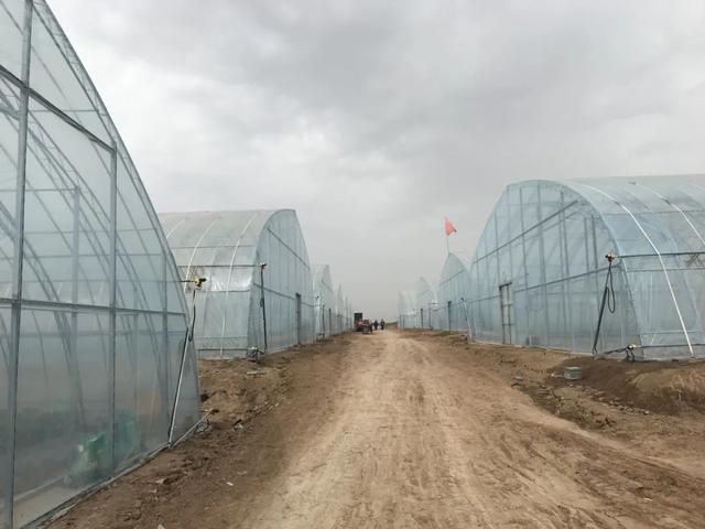 种菜不卖菜，农科城里造“芯片”！