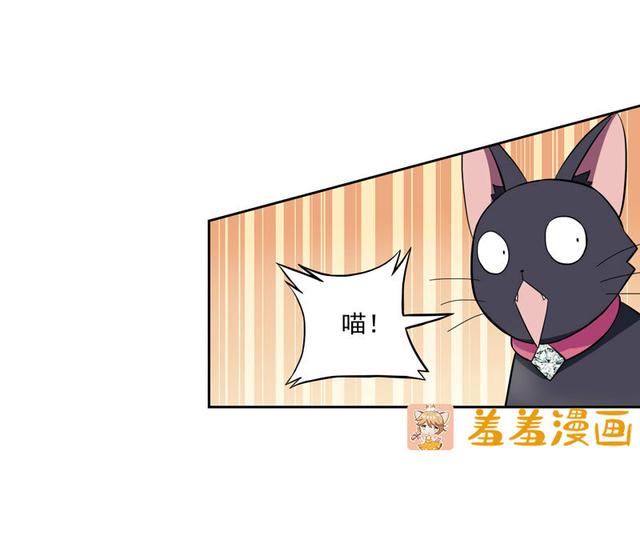 夜路走多了，竟捡到宝，带着巨钻的小黑猫一只