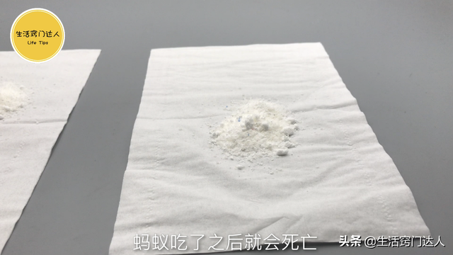 蚂蚁怕啥（灭蚂蚁用不到开水）