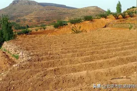 村委会扣留剩余的土地补偿费？土地征收中，女性权益该如何保护？图片