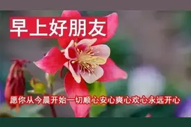 早上好｜早晨的太阳红彤彤，我俩的爱情一场空图片