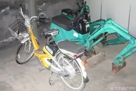 全世界最小的挖掘机图片