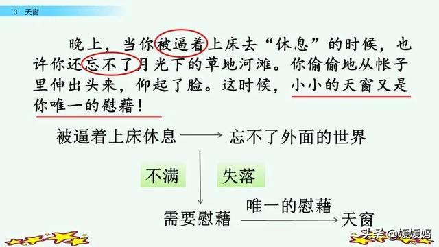 四年级下册语文第3课《天窗》图文详解及同步练习