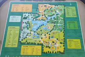 动物园一日游图片