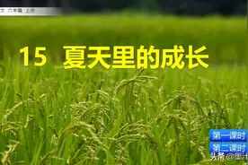 六年级语文上册（人教版）《夏天里的成长》课文讲析图片