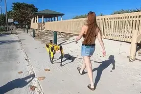 波士顿动力一只48.8万，美女沙滩遛「狗」，网友直呼：壕图片