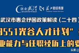 “3551光谷人才计划”在专业能力与任职经历上的要求图片