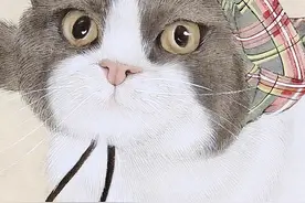 中国传统绘画：张云老师笔下的猫，乖巧伶俐，讨人喜欢图片