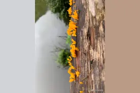 怎样才能抑制住想买房的念头？图片