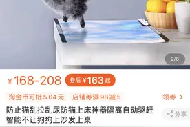 再不乖！就“电一电”你图片