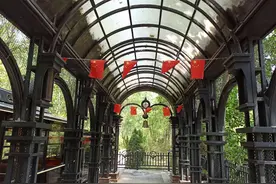 “森林小火车”-合肥湿地公园图片