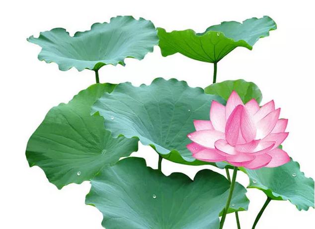 光学防伪:微透镜技术带动3D印刷起飞 光学防伪:微透镜技术带动3D印刷起飞