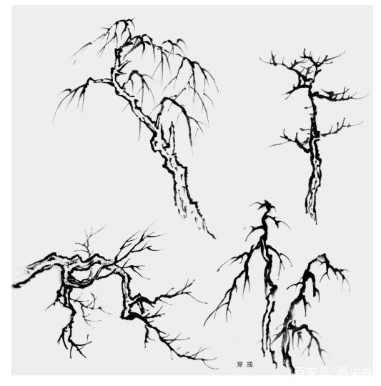 鱼鳞柏树