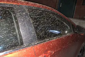 一场泥雨过后，爱车的漆面应该如何保护？能直接去洗车吗？图片