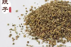 每日一中药——地肤子图片