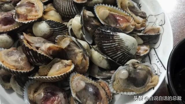 蛤、蚶、蛏、蚝、蚬有什么区别？这是一群美味海怪与人类的故事
