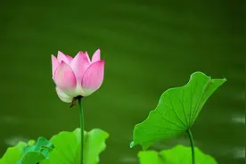 敢“秀自己”的人，人生都不会太差图片