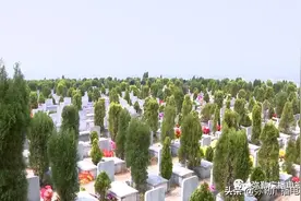 弥勒殡葬改革，奖励1000元安葬费！图片