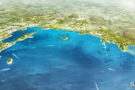 这个“大手笔”，引起日媒关注！图片