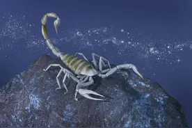 12星座在感情中的作死行为——天蝎座图片