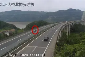 胆大！江西籍三摩友组团自驾重庆旅游，高速路上骑车被抓现行图片