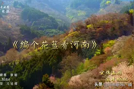 Rap：编个花篮看河南图片
