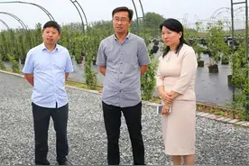剑桥女博士弃百万年薪田间种地，年收入破亿！世界500强找她合作图片