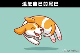 为什么狗会舔你的脸？盘点狗狗11种常见行为隐藏的原因图片