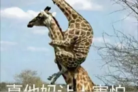 职场攻略：当看不顺眼的同事竟然晋升为领导图片