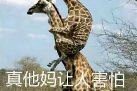 职场攻略：当看不顺眼的同事竟然晋升为领导图片