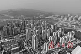 疫情下的“广州速度”从何而来？图片
