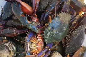 赶海～庄河黑岛图片