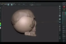 教学｜比较难的人体构造建模，用zbrush构建脸部与肌肉形状图片