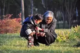 新式带孙子法，让家庭更和谐，老人更惬意图片