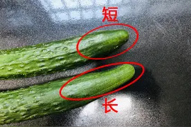 “激素黄瓜”可以吃吗？当然可以吃，但这样处理吃得更放心图片