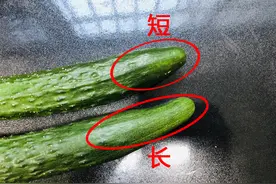 “激素黄瓜”可以吃吗？当然可以吃，但这样处理吃得更放心图片